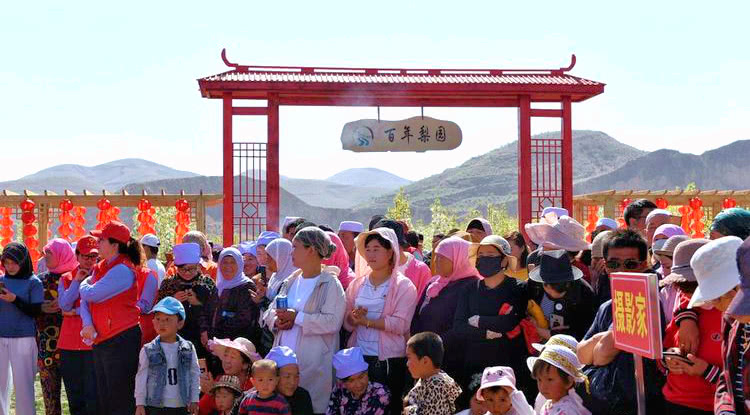 图片为实景拍摄走进海原关桥梨花小镇,首先映入眼帘的就是那长达30