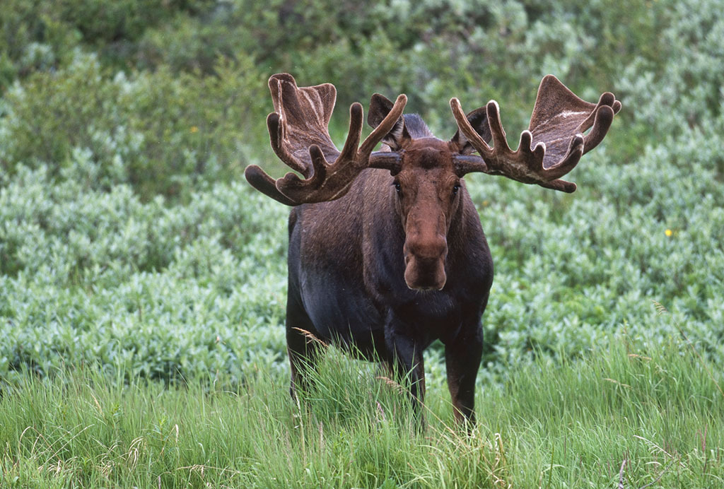 呼伦贝尔独一无二的35个"之最",没争议!