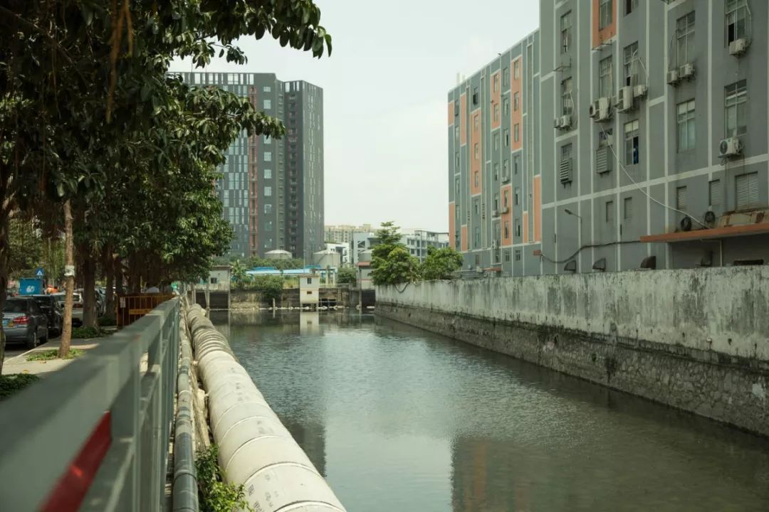 高大上沙井后亭排洪渠变成了景观河太漂亮了