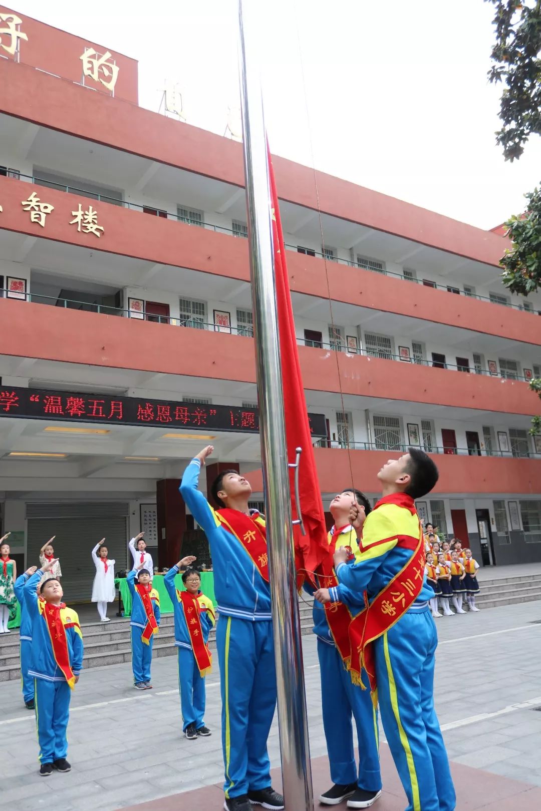 莊嚴升旗活動由信陽市第十三小學主持人社團四(7)班胡芮文 ,五(8)班胡