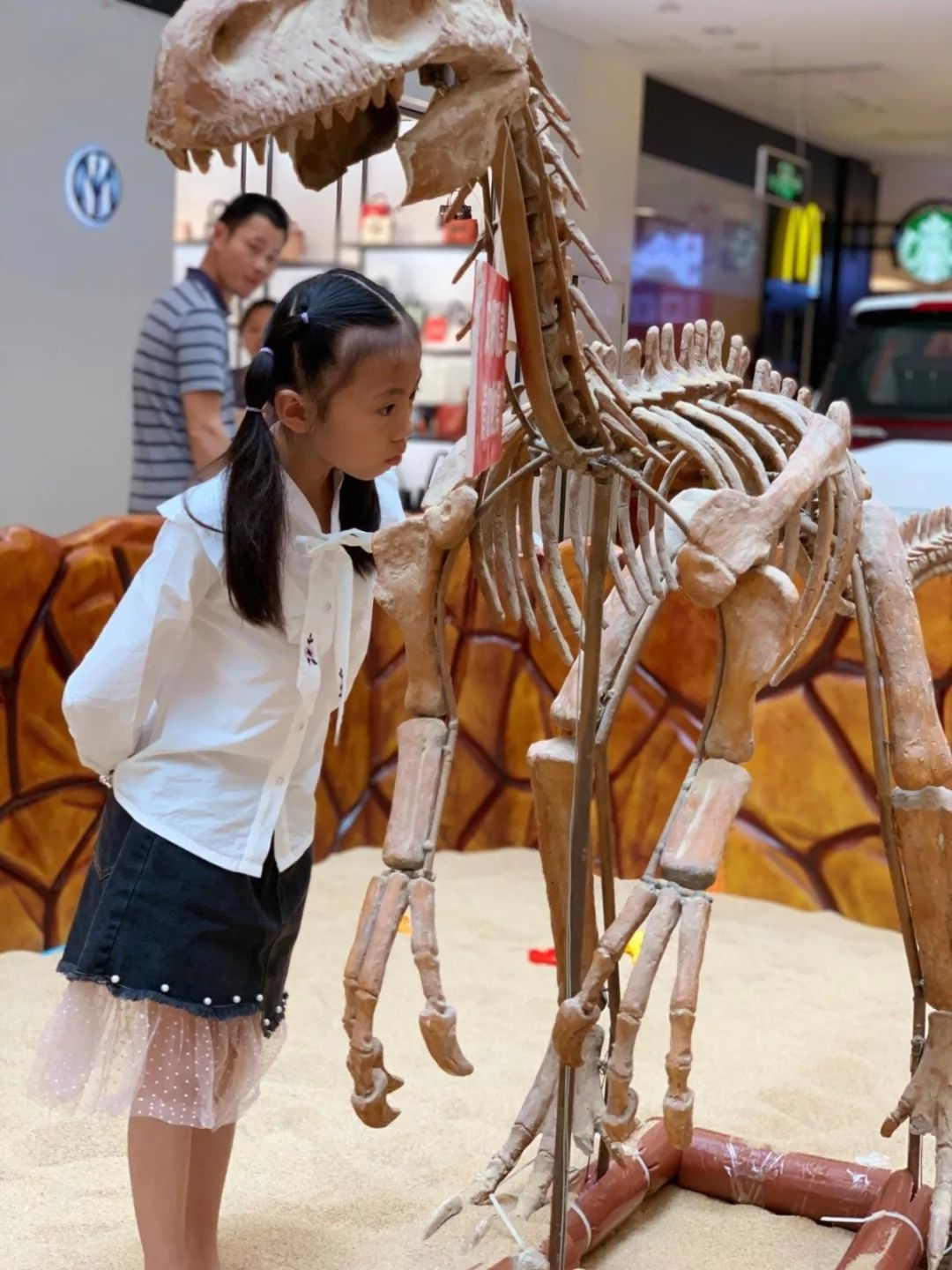 侏罗纪时代的恐龙骸骨宝贝在这里变身小小挖掘工在沙池中挖掘 左右