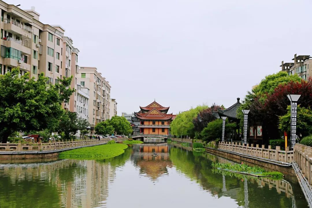 河长巡河龙凤河 水清岸绿灵秀地 河畔宜居好悠闲