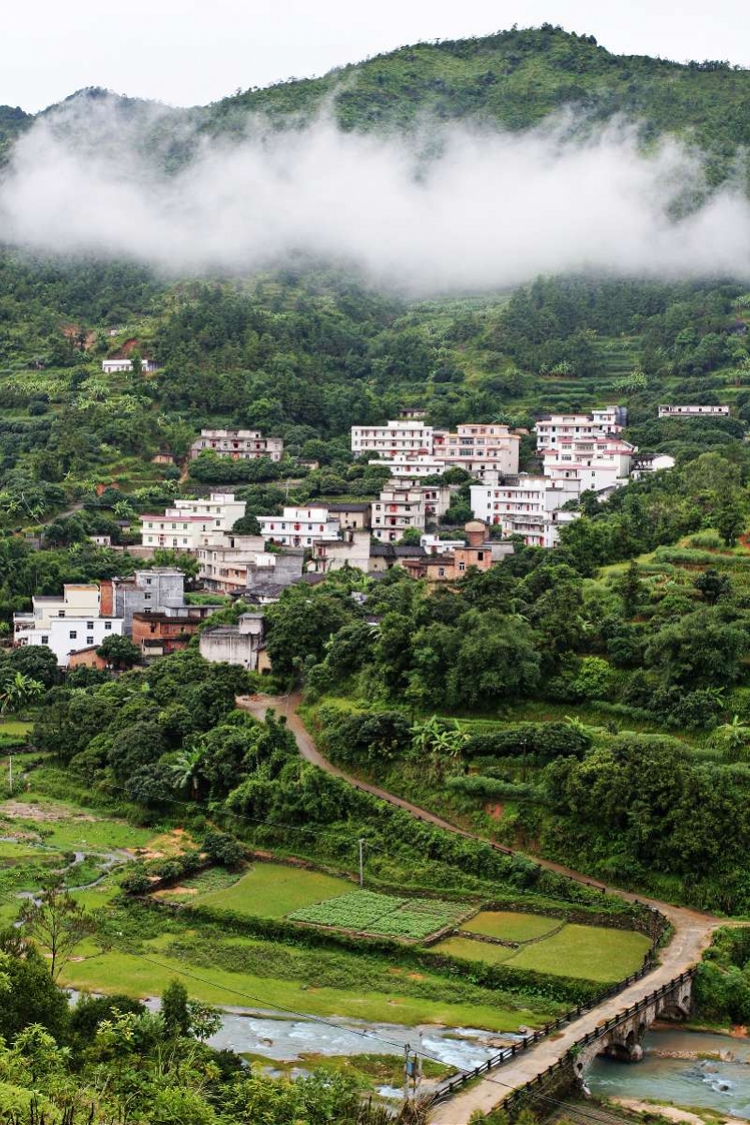 由于交通不便,高田村所在的大成镇埇尾村行政村是一条偏远小山村,村中