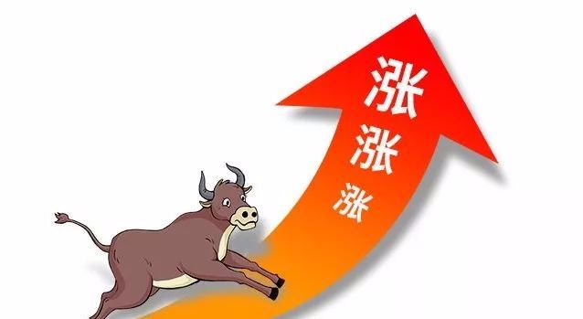 疯了!五一之后,牛肉价格还在涨
