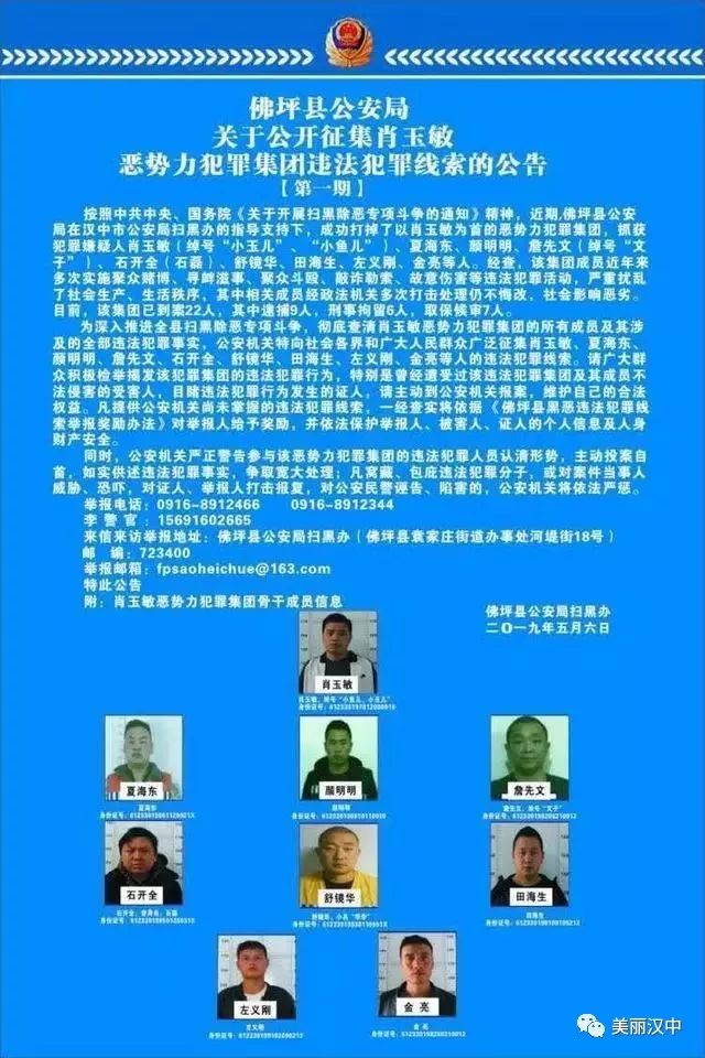 汉中再打掉一起恶势力 22人被抓_肖玉敏