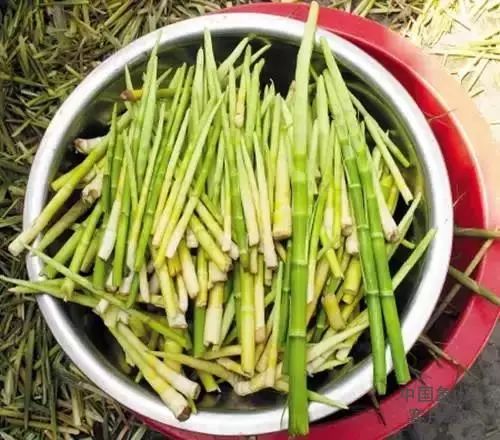 拄蛋编蛋套称重烧豆饭今天立夏的象山人玩很high