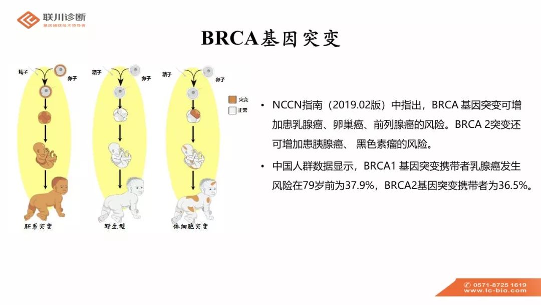 VariantPro乳腺癌(BRCA1&2)基因检测Panel介绍_美国癌症学会