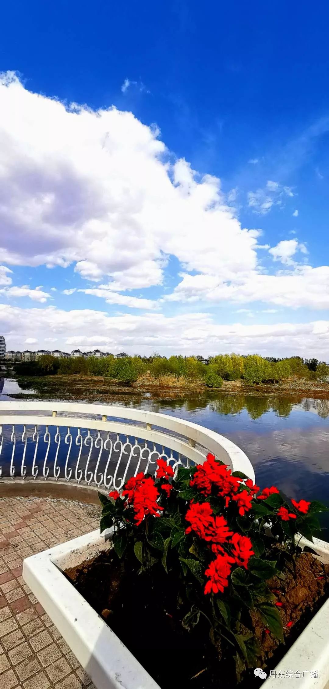 惠灵顿天气预报预报 惠灵顿天气预报预报