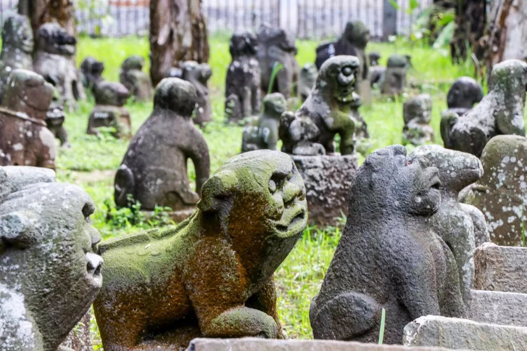 因为半岛的人们对雷祖的崇拜同时九耳犬的传说跟雷祖的传说紧密相连