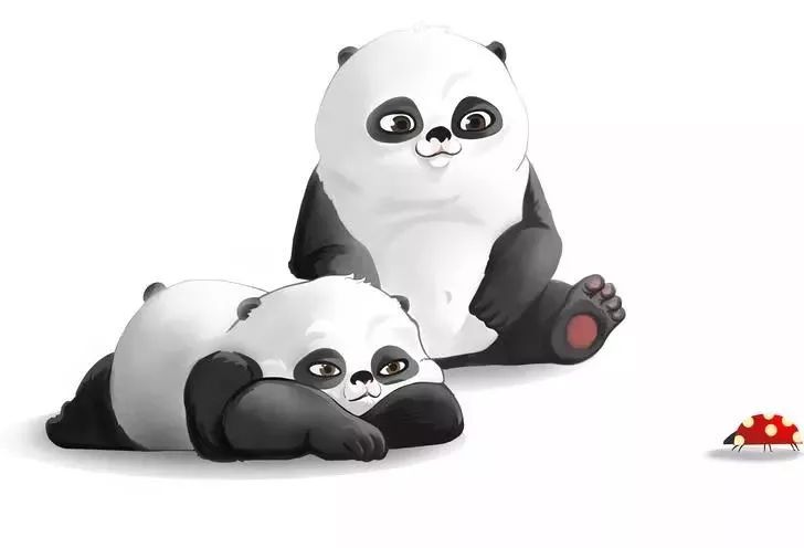 没见过的都应该来看看!_熊猫