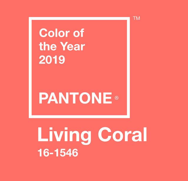 2019年潘通流行色活力珊瑚橙的应用场景