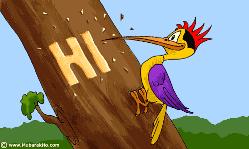 鸟设崩塌啄木鸟不是好鸟真相在这