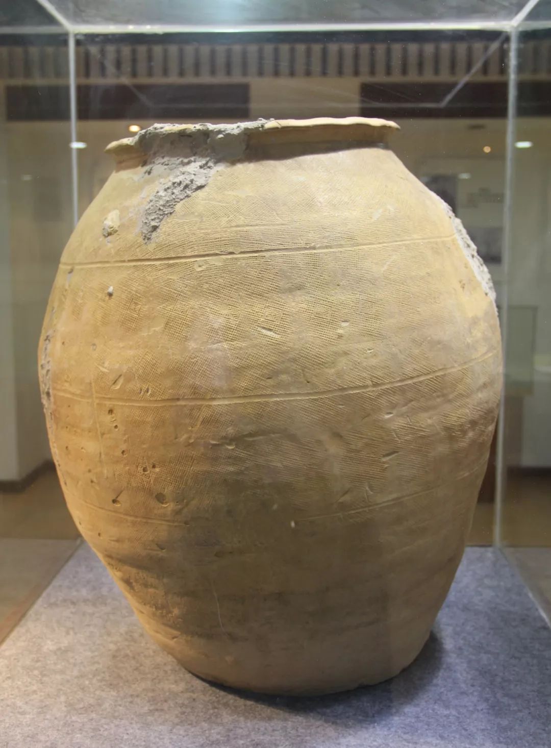 博物馆之城千年陶瓮现身高明区博物馆镇馆之宝来了解一下