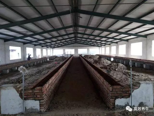 在农村牛场应如何选址场地如何规划与布局