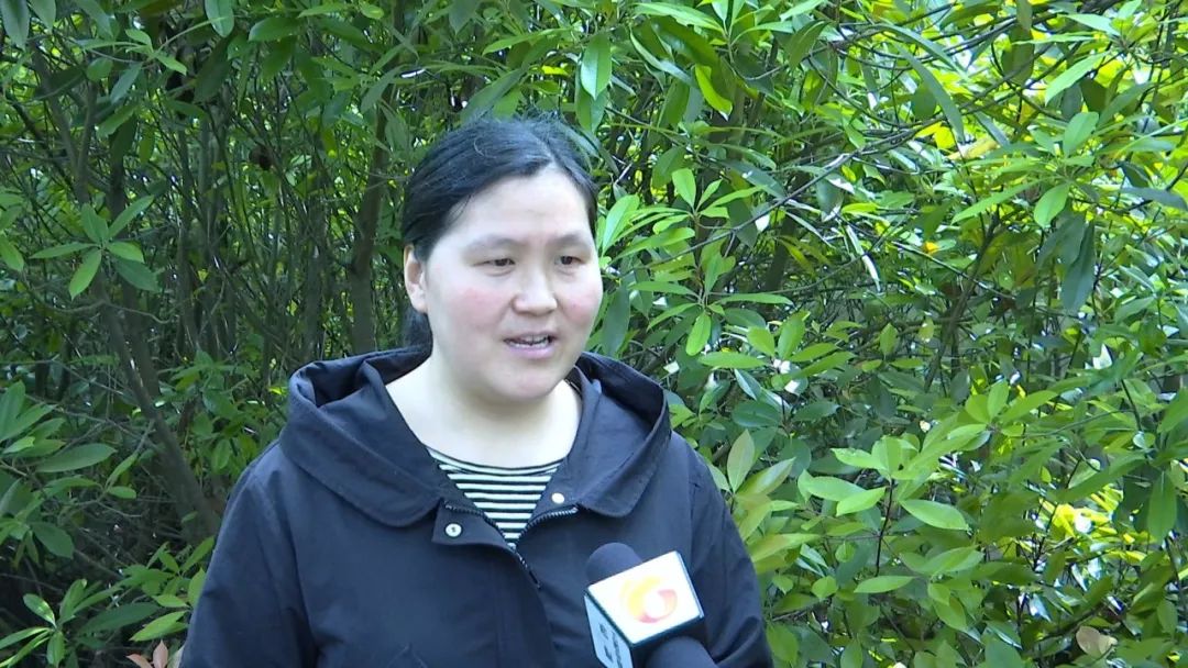 我是劳动者黄小云十八年坚守青春奉献乡村教育