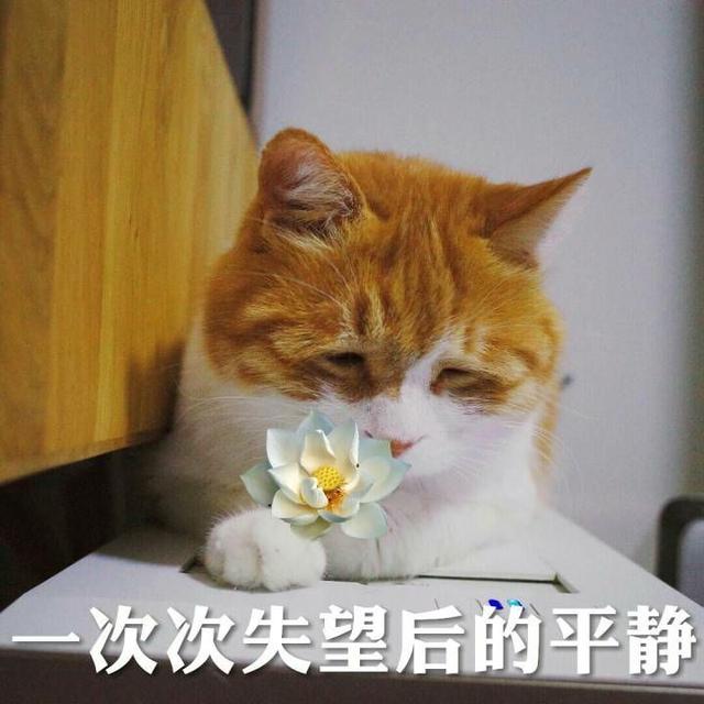 来说说