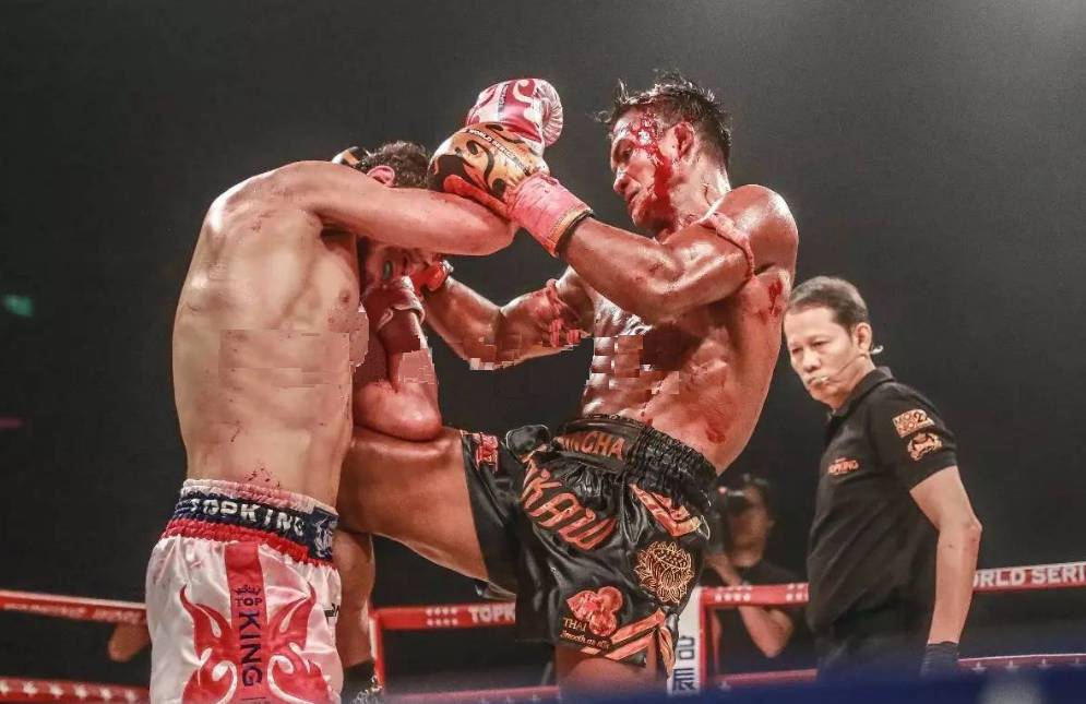 战,半决赛中达米特-维塔斯一回合ko了泰拳王肯姆,决赛中3局点胜哈亚