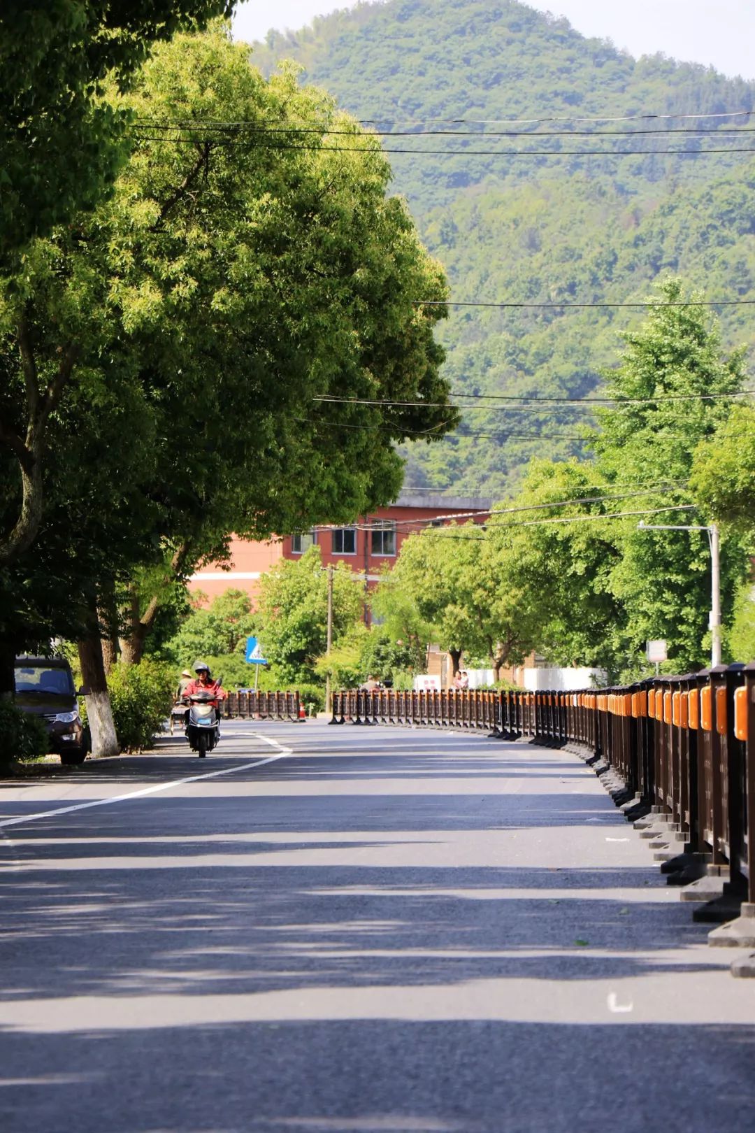 好事!璜山穿镇路段装上隔离护栏啦!与乱穿马路说再见_行人