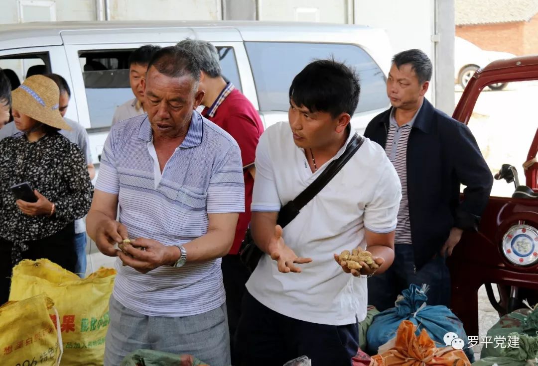 罗平县提高三个组织化阿岗镇首个农特产业试验示范基地正式落户