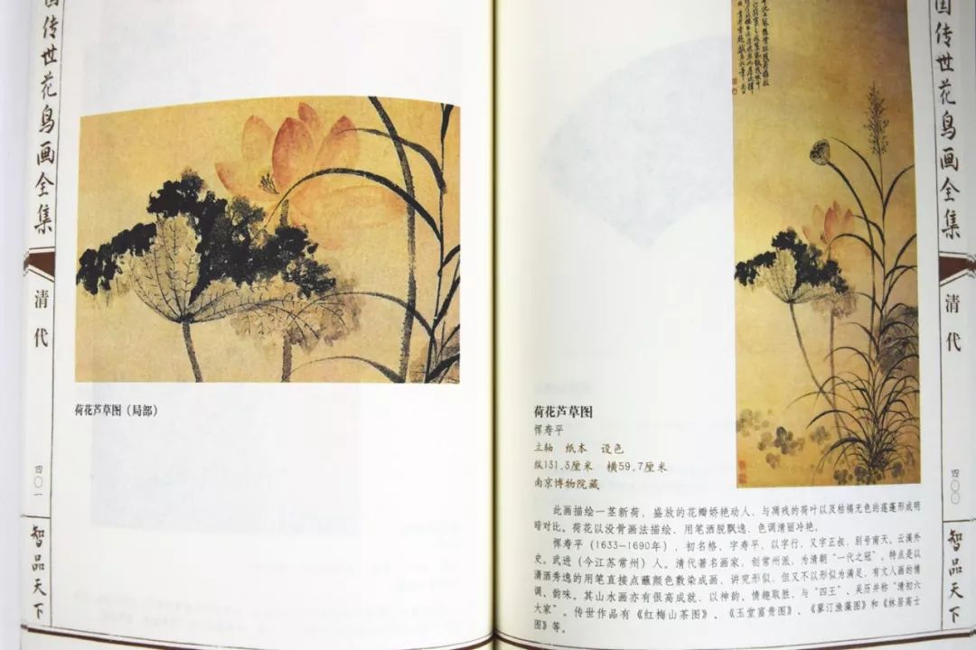 清 恽寿平《荷花芦草图》