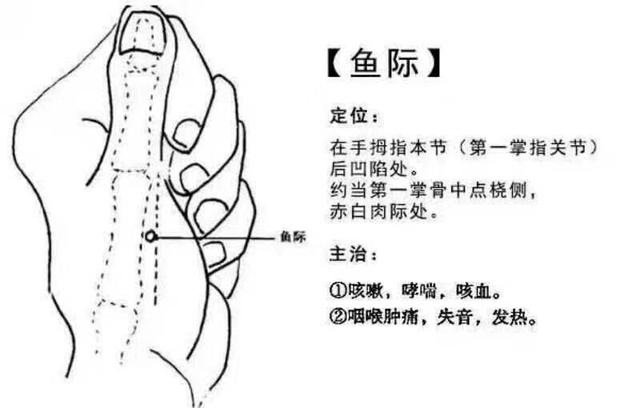 人体藏着四颗降糖穴位正确使用血糖平稳一辈子