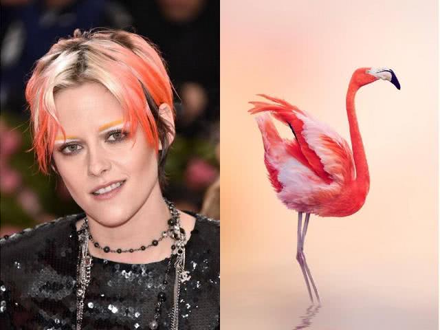 小威1千块耐克走mg红毯k帅火烈鸟发型酷,艾玛罗伯茨美成公主