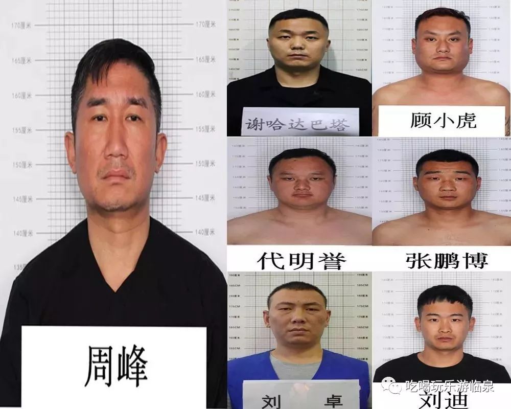 人员信息如下:近日,临泉县公安局破获周峰,谢哈达巴塔,张鹏博等人涉嫌