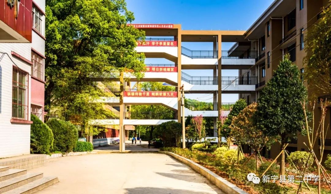 新宁二中2019年秋季高一宏基班,同求班招生公告