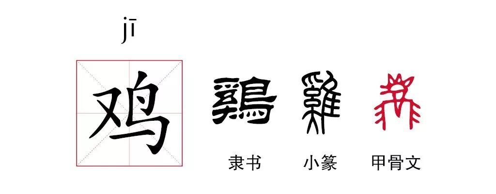 鸡字演变图片