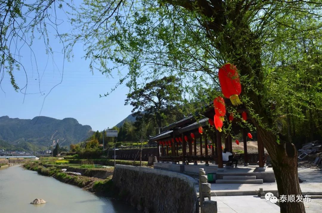 乡村振兴看泰顺小镇故事泰顺县泗溪镇把桥牌打活了