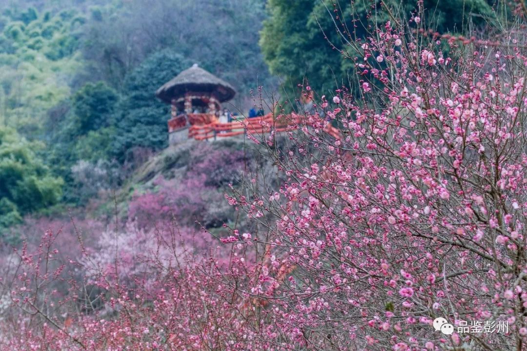 這裡是丹景山