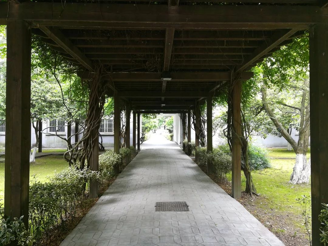 【园林名录】墨园 —— 植花栽木,叠山凿池_苏州