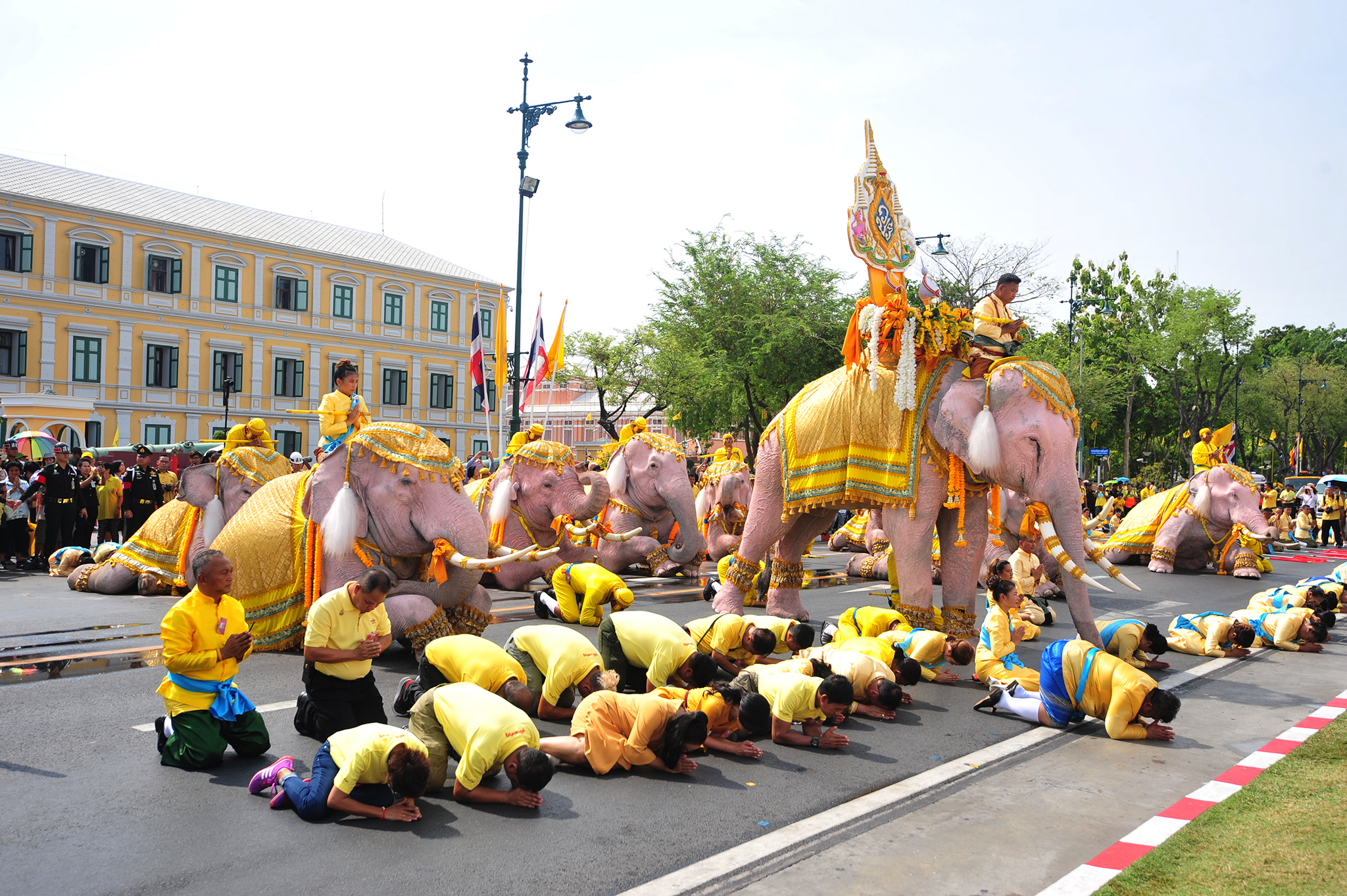 新华社发(拉亨 摄)当日,10头来自泰国大城府被染色的大象在驯象师的
