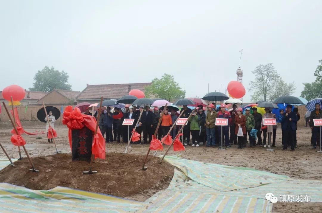 鎮原縣舉行肉羊肉牛屠宰廠建設項目暨20萬噸國家級飼草加工儲備項目