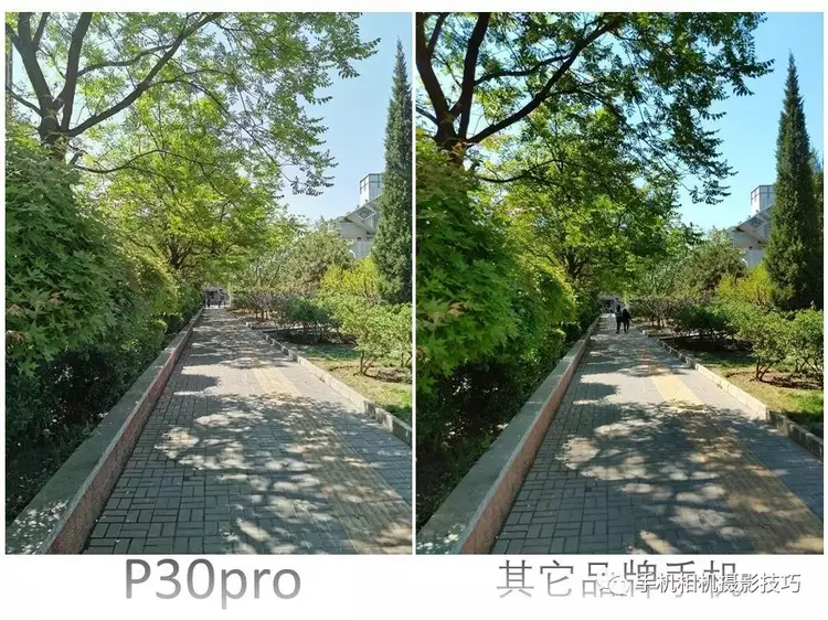 p30pro拍照宇宙第一哎