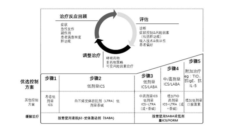 不同的时期来制定一个与哮喘分期和分级相适应的阶梯式治疗方案