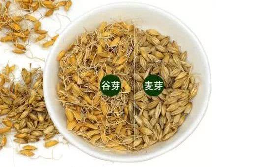 可惜很多家长却视而不见…_谷芽