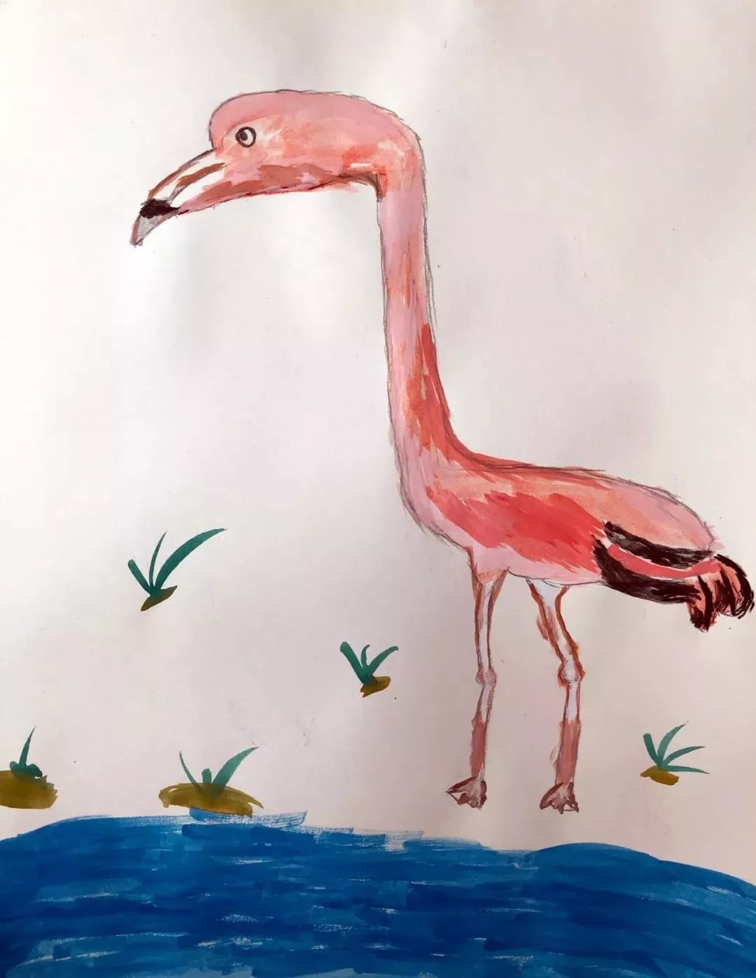 变身小画家用画笔探索候鸟迁徒的奥秘浙江自然博物院寻踪鸟迹科学绘鸟