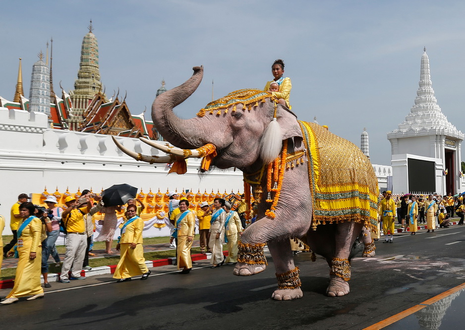 央视网消息:当地时间2019年5月7日,泰国曼谷,象夫骑着大象与祝福者一