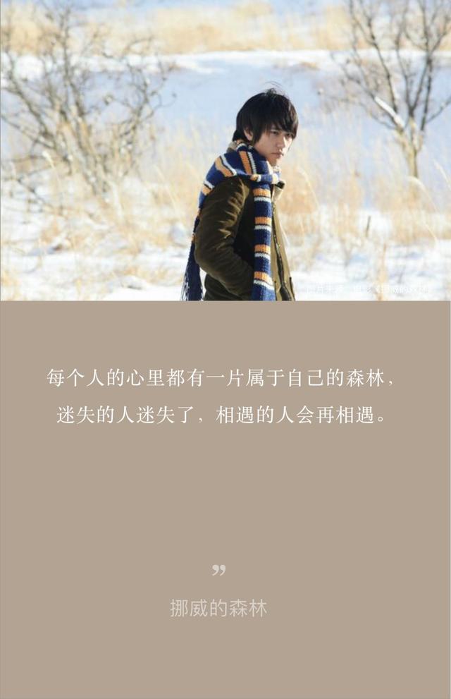 挪威的森林迷失的人迷失了相遇的人会再相遇