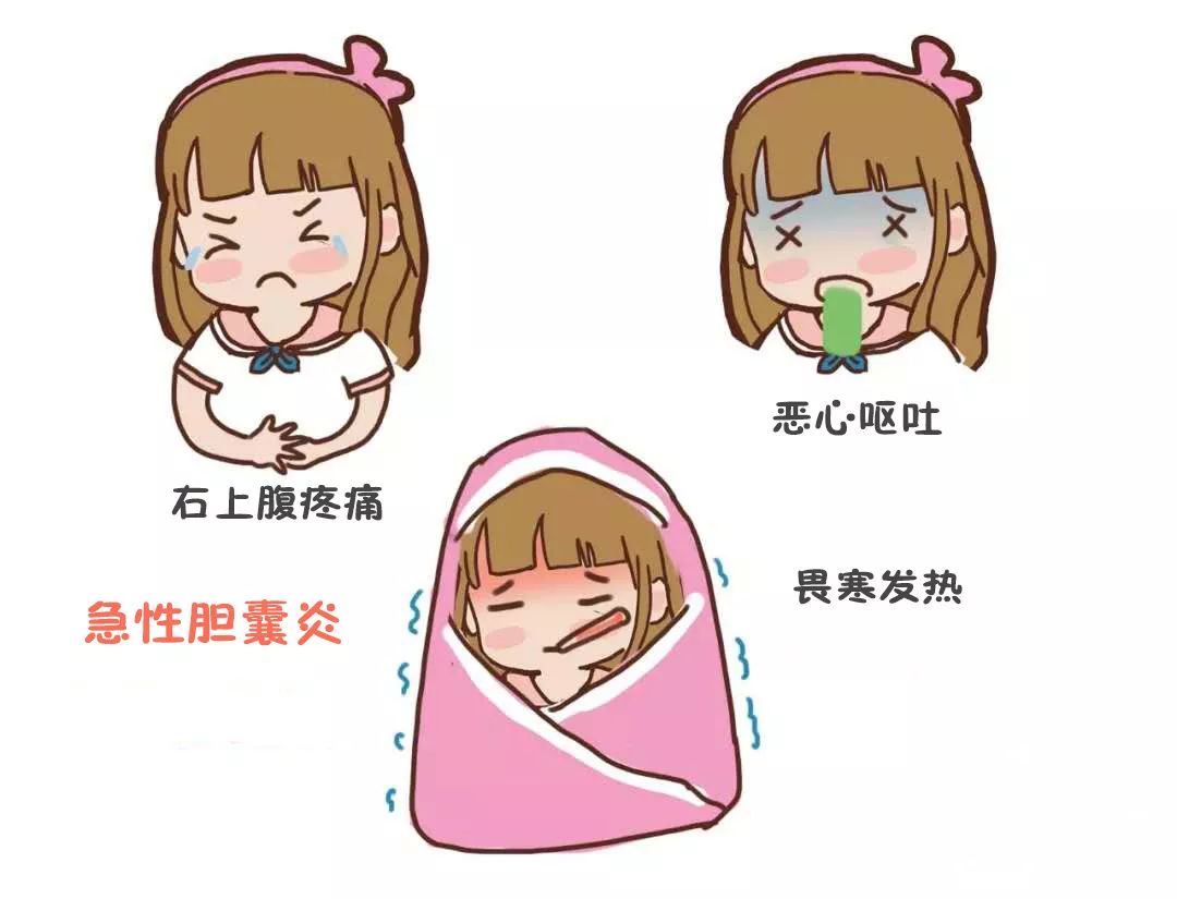 疯狂的石头记身体里的胆结石是怎么长出来的