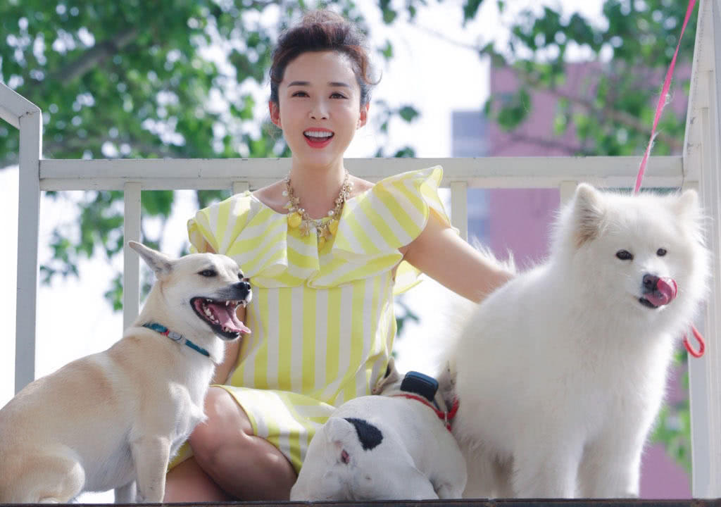 原创颜丹晨晒暖心萌犬照嫦娥姐姐真是有爱心不过女神也太美了吧