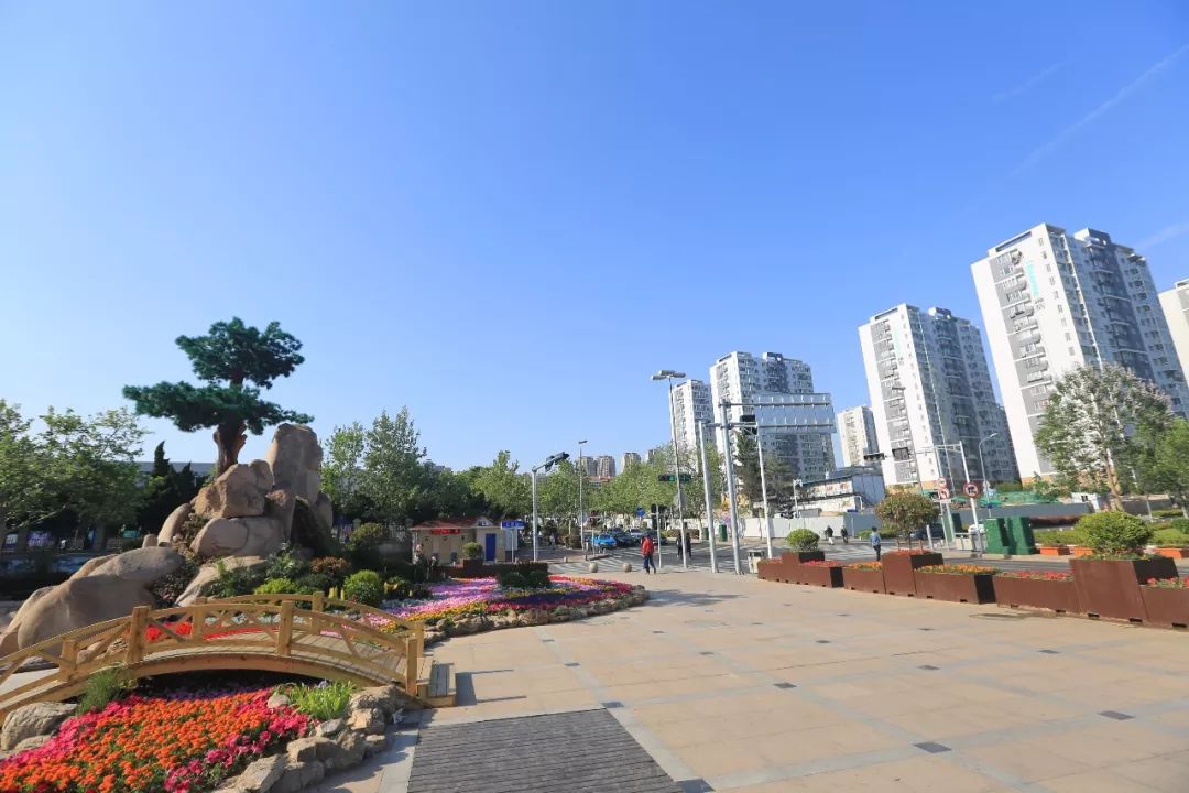 美丽市北丨微风轻拂缱绻柔情正是市北撩人时