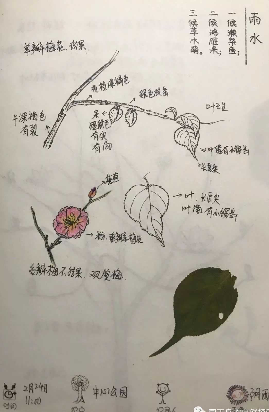 自然筆記春分時節感受蓮花山的精彩