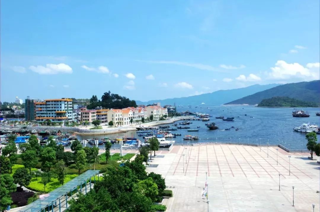 大亚湾绿道中段串联虎头山公园,红树林城市湿地公园,中央公园,螺岭