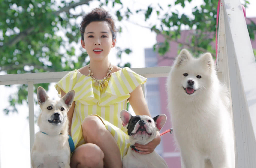 原创颜丹晨晒暖心萌犬照嫦娥姐姐真是有爱心不过女神也太美了吧