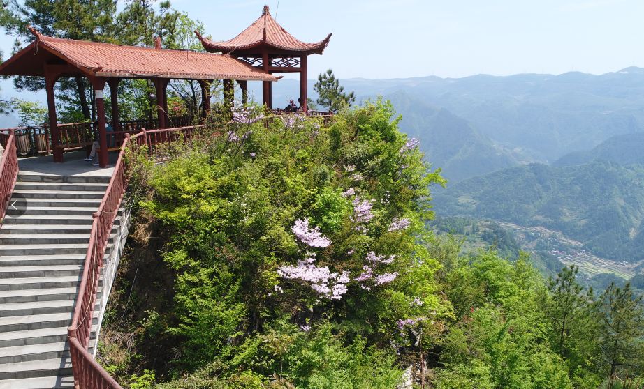 苏马荡景区图片