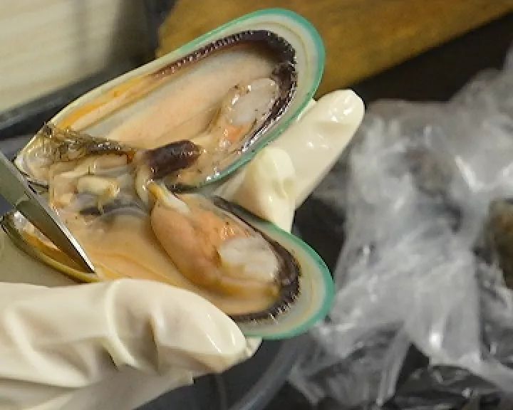 麻痹性贝类毒素是什么?