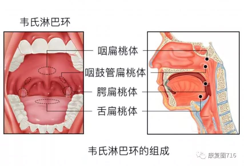 淋巴瘤患者关怀指南