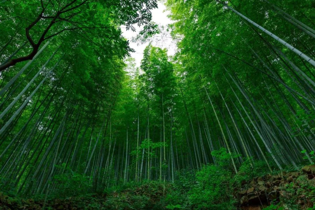 惊呆宜兴人原来是这样的